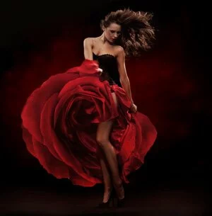 Flamenco dans